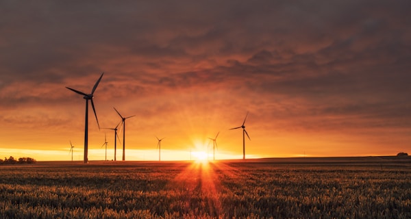 Green Hosting and PUE: How Data Centers Cut Carbon Emissions