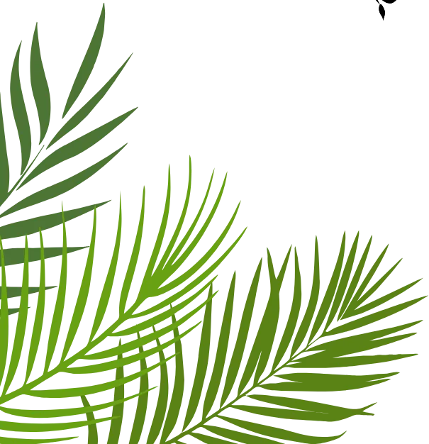 Green leaves representing Clytrix's renewable-powered hosting and reforestation program