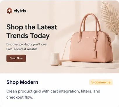 E-commerce WordPress theme with product grid and checkout flow